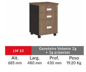 Gaveteiro  de 02 gavetas e 01 pasta  suspensa  ameixa / preto